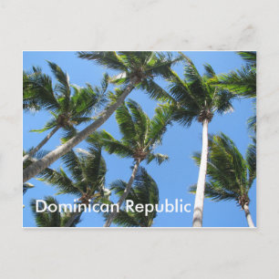 Cartão Postal Cartaz de palma dominicano