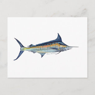 Cartão Postal Cartaz de peixe Marlin azul