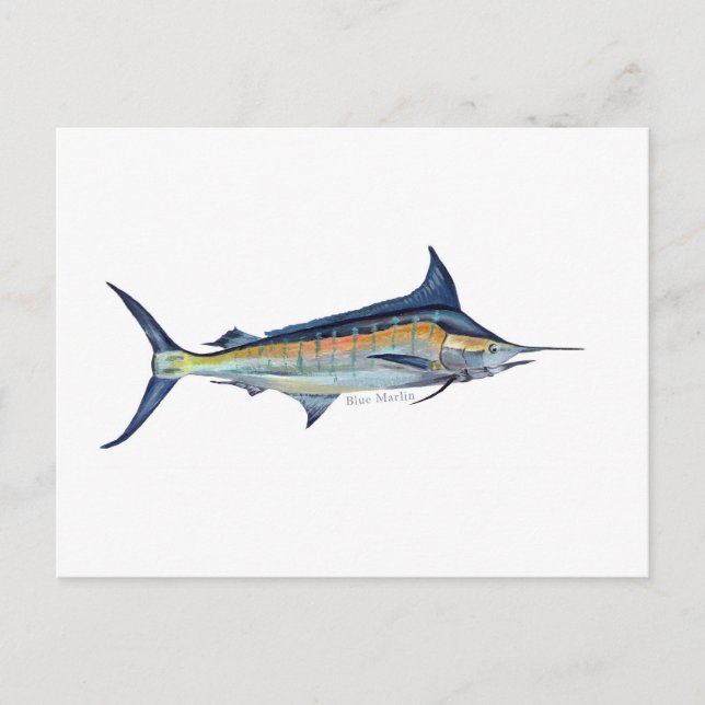 Cartão Postal Cartaz de peixe Marlin azul (Frente)