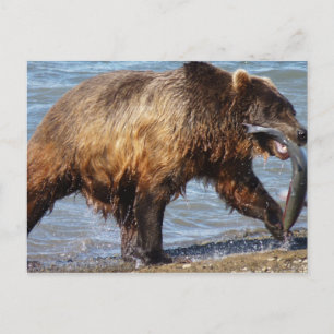 Cartão Postal Cartaz de pesca do urso foi-se