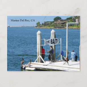 Cartão Postal Cartaz de Pesca Marina Del Rey!