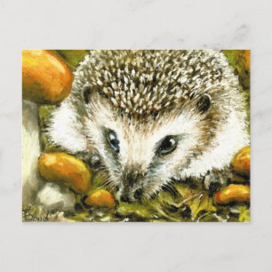 Cartão Postal Cartaz de porco
