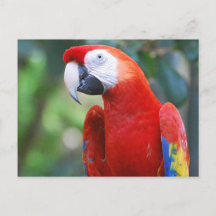 Cartão Postal Cartaz de Posto