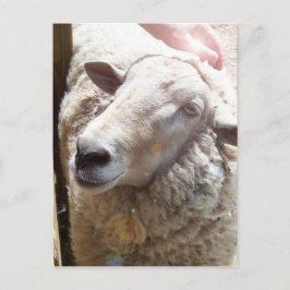 Cartão Postal Cartaz de Posto de Arte Cristã
