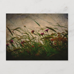 Cartão Postal Cartaz de primavera Breeze