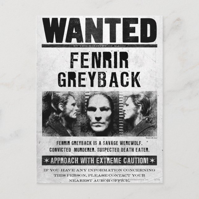 Cartão Postal Cartaz de Procura de Fenrir Greyback (Frente)
