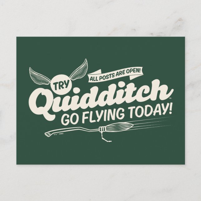 Cartão Postal Cartaz de Recrutamento de QUIDDITCH™ (Frente)