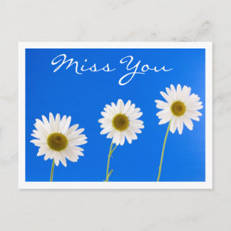 Cartão Postal Cartaz de Saudação Floral de Daisy White