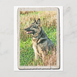 Cartão Postal Cartaz de tributo Rin Tin Tin