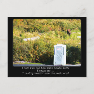 Cartão Postal Cartaz de ursinho