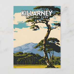 Cartão Postal Cartaz de Viagem Antigo Parque Nacional de Killarn