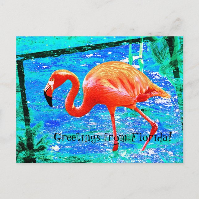 Cartão Postal Cartaz de viagem rosa Funky Flórida flamingo (Frente)