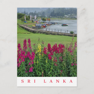 Cartão Postal Cartaz de vista de Sri Lanka Lake Gregory