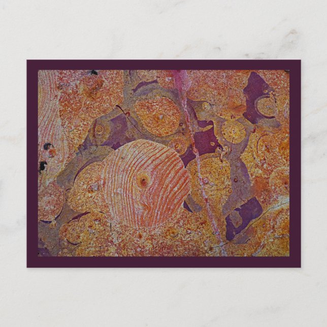 Cartão Postal Cartaz Design da Terra (Frente)