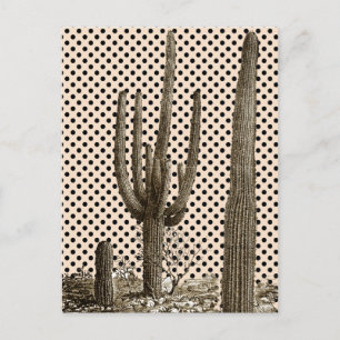 Cartão Postal Cartaz diva do deserto