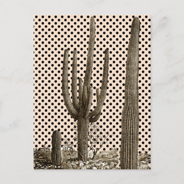 Cartão Postal Cartaz diva do deserto (Frente)