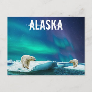 Cartão Postal Cartaz do Alasca com Ursos Polares Aurora Borealis