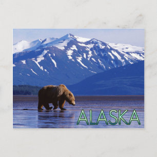 Cartão Postal Cartaz do Alaska