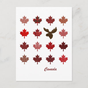 Cartão Postal Cartaz do Canadá Maple Leaf and Moose
