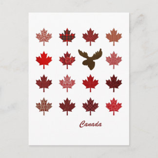 Cartão Postal Cartaz do Canadá Maple Leaf and Moose