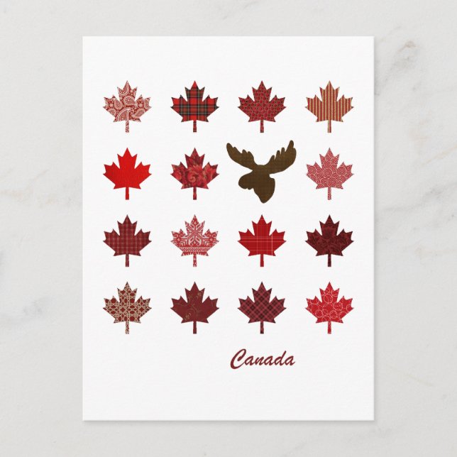 Cartão Postal Cartaz do Canadá Maple Leaf and Moose (Frente)