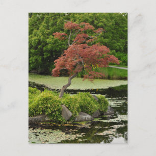 Cartão Postal Cartaz do caroço e lagoa japonesa