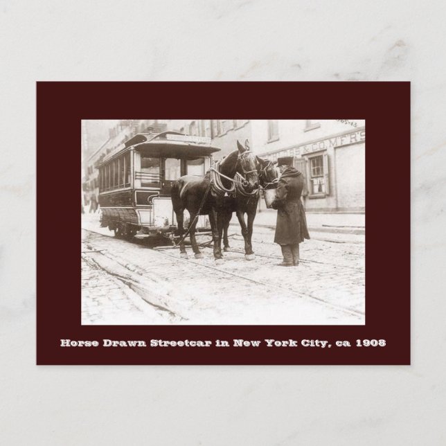 Cartão Postal Cartaz do cavalo desenhado em Nova Iorque (Frente)