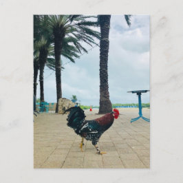Cartão Postal Cartaz do "Cayman Rooster" de Willowcatdesigns