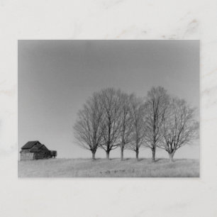 Cartão Postal Cartaz do celeiro e árvores