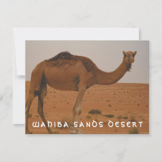 Cartão Postal Cartaz do deserto de Wahiba