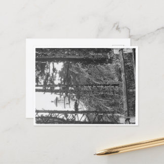 Cartão Postal Cartaz do Farol da Cabeça de Heceta b&w