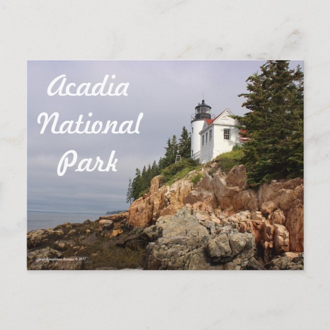 Cartão Postal Cartaz do Farol de Bass Harbor (Frente)
