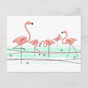 Cartão Postal Cartaz do Grupo Flamingos