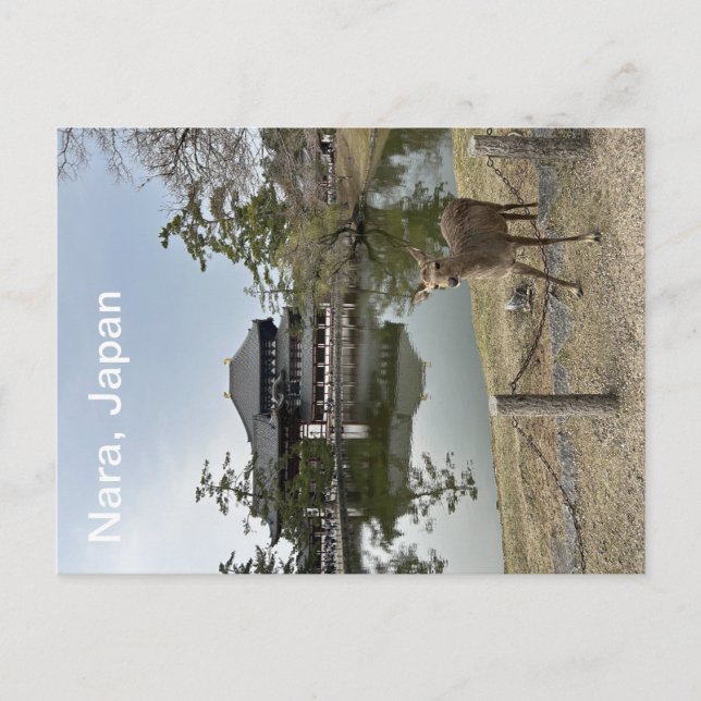 Cartão Postal Cartaz do Japão (Frente)