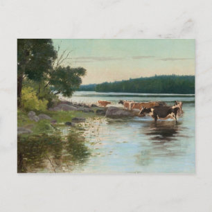 Cartão Postal Cartaz do lago Keinänen
