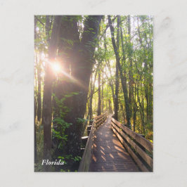 Cartão Postal Cartaz do nascer da manhã da Flórida