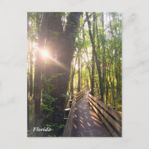 Cartão Postal Cartaz do nascer do sol da manhã da Flórida