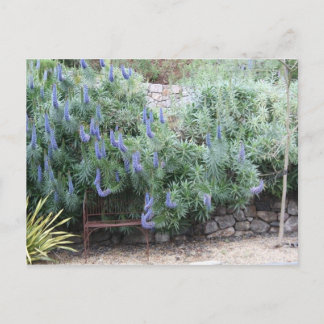 Cartão Postal Cartaz do Orgulho da Madeira