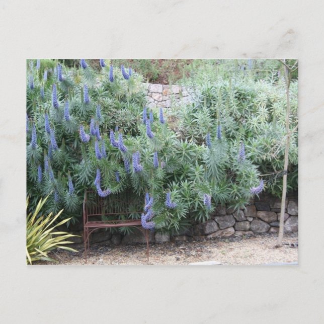 Cartão Postal Cartaz do Orgulho da Madeira (Frente)