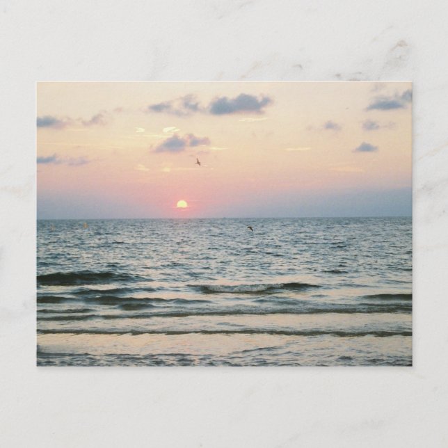 Cartão Postal Cartaz do pôr do sol da praia Clearwater (Frente)