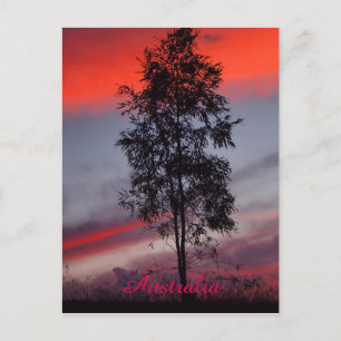 Cartão Postal Cartaz do pôr do sol da tempestade australiana