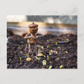 Cartão Postal Cartaz do primavera Acorn elf