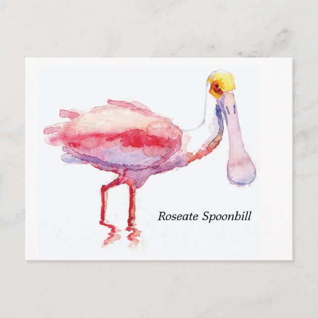 Cartão Postal Cartaz do Roseate Spoonbill (Frente)