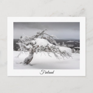 Cartão Postal Cartaz do souvenir de inverno na Finlândia