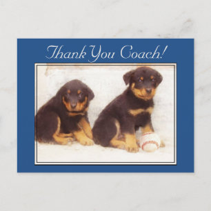 Cartão Postal Cartaz do treinador Rottweiler