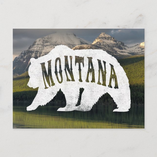 Cartão Postal Cartaz do urso Grizzly Montana (Frente)