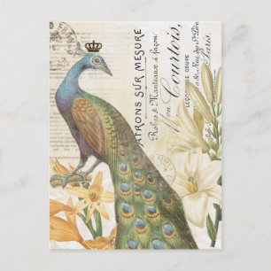 Cartão Postal Cartaz floral do pavão francês Vintage
