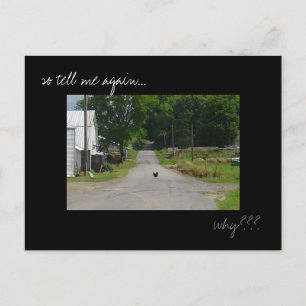 Cartão Postal Cartaz fotográfico "Chicken Crossing Road"