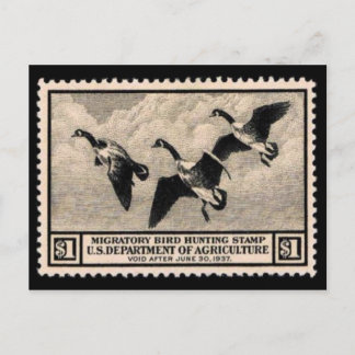 Cartão Postal Cartaz Gráfico do Vintage Wildlife Stamp