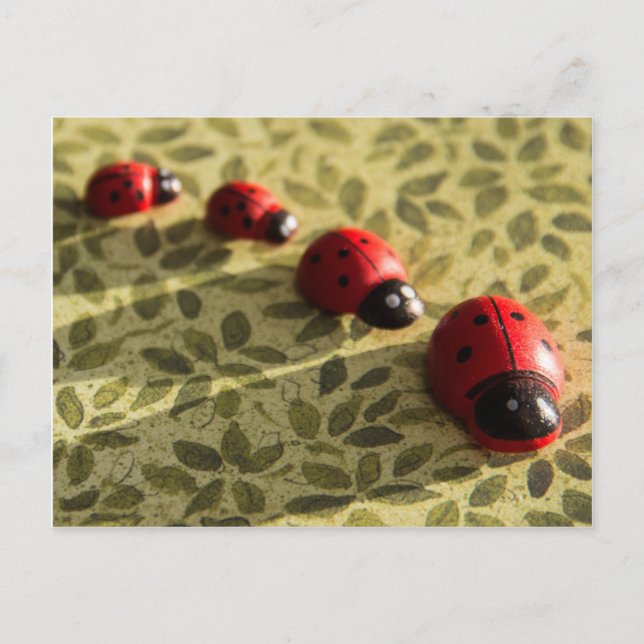 Cartão Postal Cartaz Ladybugs (Frente)